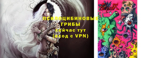 дмт Баксан