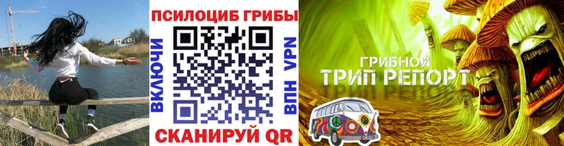 Псилоцибиновые грибы Magic Shrooms Лаишево